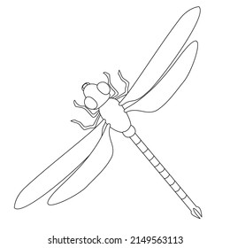 1,682 Dragonfly Pose Images, Stock Photos & Vectors 