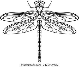 Dragonfly outline illustration isolated on transparent background	

