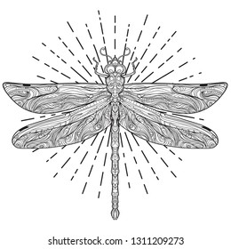 Dragonfly over sacred geometry sign, isolated vector illustration. Tattoo sketch. Mystical symbols and insects. Alchemy, occultism, spirituality, coloring book. Hand-drawn vintage.