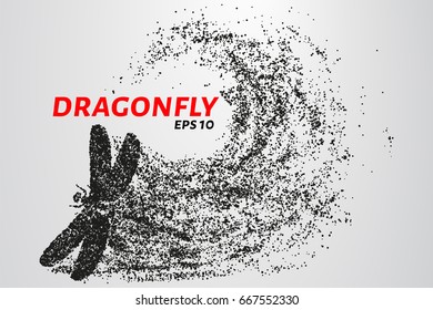 Dragonfly of the particles. Dragonfly consists of circles and points. Vector illustration.