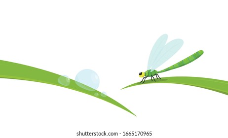 Drachenfliege auf einem Laub. Drachenfliege-Vektorillustration. Vektorillustration zum Wassertropfen.