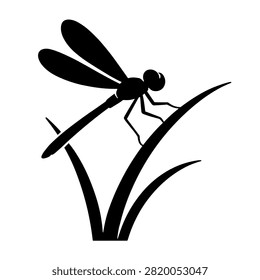 Dragonfly Perched On A Blade Of Grass