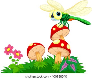 Dragonfly perched on mushrooms 