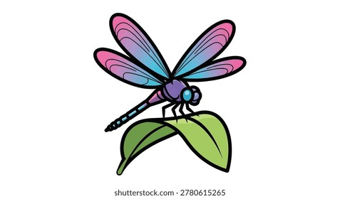Dragonfly with pink blue wings sitting