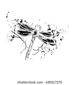 Dragonfly. Print, sticker, logo, badge, design. Vector illustration