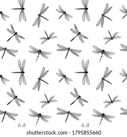 Dragonfly seamless pattern. Decorative hand drawn insects on white background. Vector illustration.