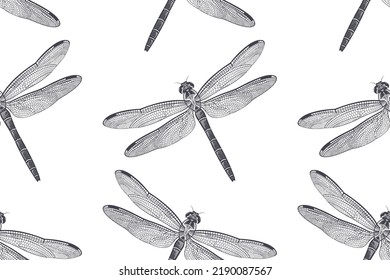 Dragonfly seamless pattern. Vector black and white illustration of insects. Vintage engraving. Flying Adder isolated on White Background.