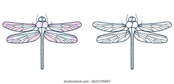 Dragonfly conjunto ilustração isolado no fundo branco