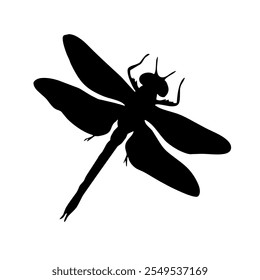 Dragonfly silhouette in black, handmade. Hand-drawn insect, realistic illustration, vector