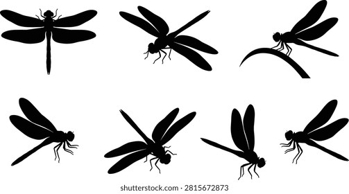 Dragonfly silhouette collection featuring flying and resting poses for nature and design projects