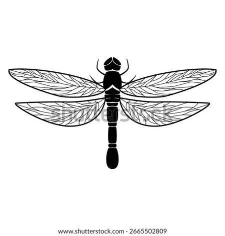 dragonfly silhouette design. insect sign and symbol.