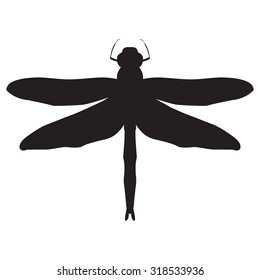 Dragonfly Silhouette. design dragonfly. Insect with wings. drawn dragonfly. Dragonfly isolated on white background. Vector illustration