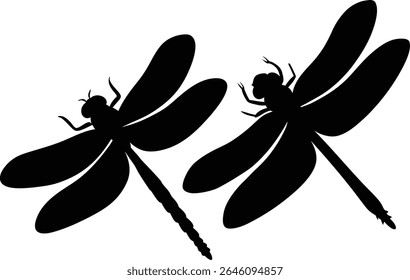 Silhueta de libélula. Ícone de glifo de inseto, forma simples de mosca-de-damasco. Ilustração de vetor preto em branco.