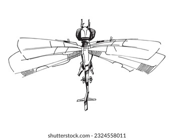 La libélula. Silhouette de un insecto. Dibujo de líneas de naturaleza salvaje