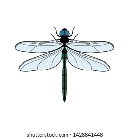 Hand Drawn Ink Sketch Dragonfly Isolated Stock Vector (Royalty Free ...