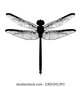 Dragonfly silhouette isolated on a white background. Vector illustration