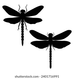 dragonfly Silhouette on White Background