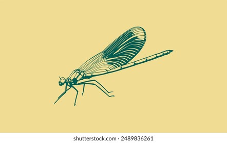 Dragonfly Silhouette Vector Art Ilustration 