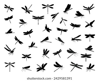 Dragonfly silhouette vector art white background