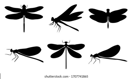 Dragonfly silhouettes set, Vector illustration.