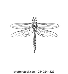 Desenho de linha de esboço de libélula. Insetar libélula em estilo linear simples. Desenhar Ilustração de Vetor