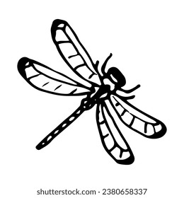 Esbozo de libélula. Insectos voladores alados. Ilustración dibujada a mano.