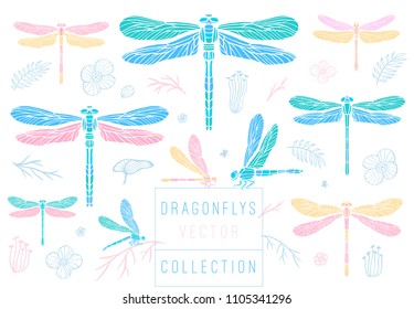 Dragonfly spring set sketch style collection insert wings emblem symbols dragonflies leaves floral flowers palm leaves branches pink blue delicate tattoo Hand drawn vector color illustration