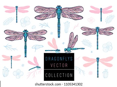 Dragonfly spring set sketch style collection insert wings emblem symbols dragonflies leaves floral flowers palm leaves branches pink blue delicate tattoo Hand drawn vector color illustration