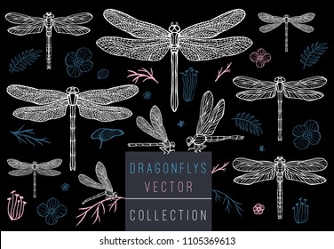 Dragonfly spring set sketch style collection insert wings emblem symbols dragonflies leaves floral flowers palm leaves branches pink blue delicate tattoo Hand drawn vector color illustration