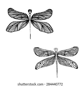 Dragonfly vector