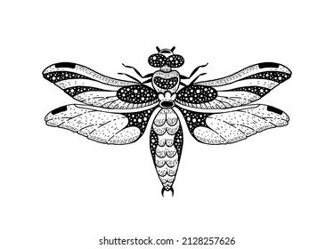 Dragonfly vector. Alchemy logo with moon, mystic butterfly. Vintage tattoo of geometric sketch dragonfly. Esoteric totem boho insect with space eye. Abstract astrology print. Occult animal drawing art