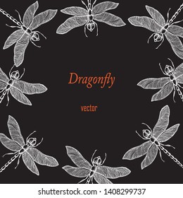 Dragonfly .Vector background with hand drawn insects illustrations.  Entomological seamless pattern. 