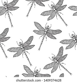 Dragonfly .Vector background with hand drawn insects illustrations.  Entomological seamless pattern. 