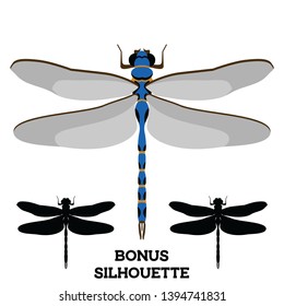 Dragonfly vector cartoon and silhouette