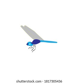 dragonfly vector design ilustration icon logo templat
