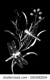 dragonfly vector illustration