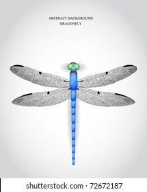 Dragonfly. Vector illustration