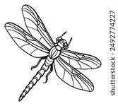 Dragonfly vector illustration. Black contour drawing. Dragonfly in flight hand drawn.