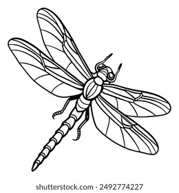 Dragonfly vector illustration. Black contour drawing. Dragonfly in flight hand drawn.