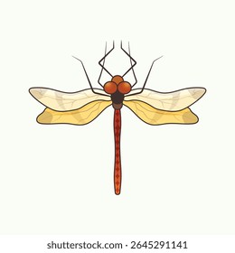 Dragonfly vetor ilustração desenho detalhado de insetos