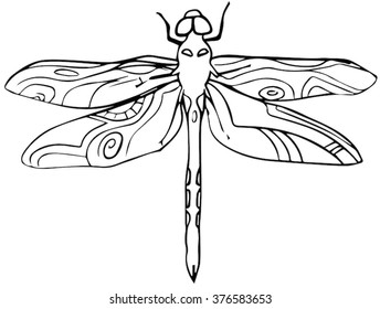 Dragonfly vector illustration hand drawn
