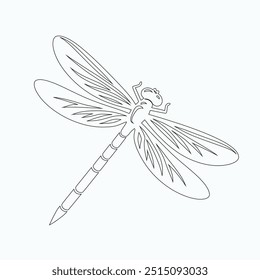 Dragonfly vector illustration, hand-drawn, isolated on a white background, Isolated elements on a white background. Stylized dragonfly. Vector. Drawing in one line. Black and white image. Dragonfly