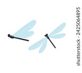 Dragonfly. Vector illustration of insects in flat style on white background.