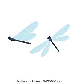 Libelle. Vektor-Illustration von Insekten im flachen Stil auf weißem Hintergrund.