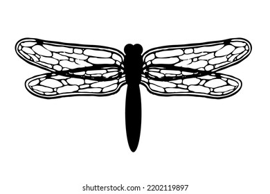 Dragonfly vector illustration isolated on white background