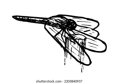 Dragonfly vector illustration isolated on white background