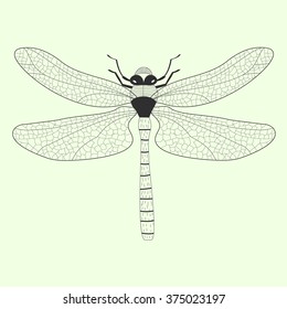 Dragonfly. Vector Illustration. No Tracing. Pure Vector lines. Vintage Nature illustration. Insect. Isolated.
