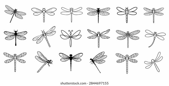Dragonfly vector illustration set, hand-drawn, isolated on a white background. Collection of 18 unique dragonflies, High-quality, detailed sketches captur vector