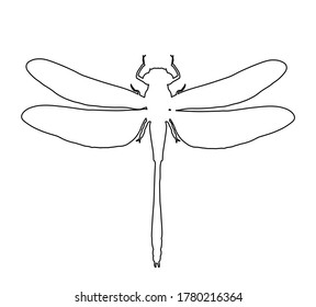 Dragonfly vector line contour illustration isolated on white background. Insect animal symbol silhouette. 