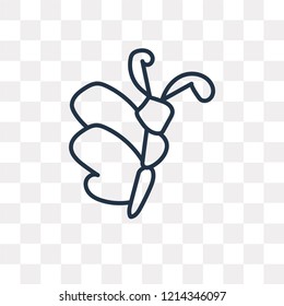 Dragonfly vector outline icon isolated on transparent background, high quality linear Dragonfly transparency concept can be used web and mobile